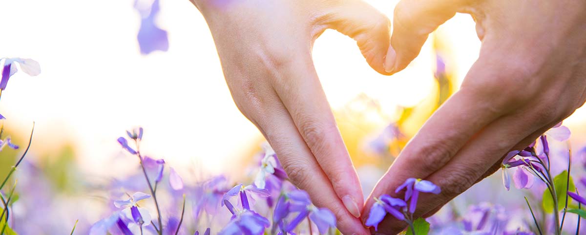 Close up on hands making a love heart with purple flowers around